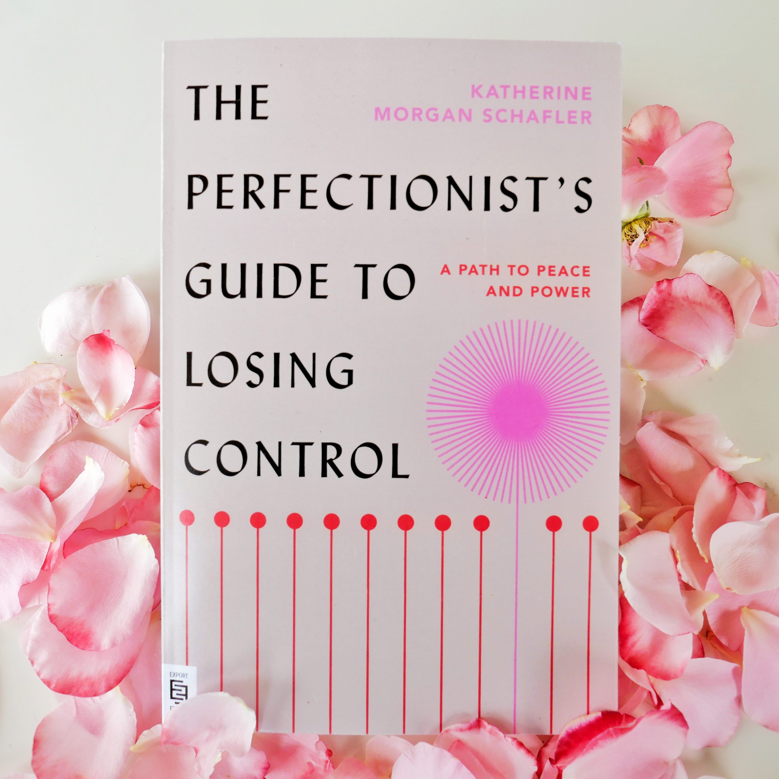 Cover of the book 'The perfectionist's guide to losing control'