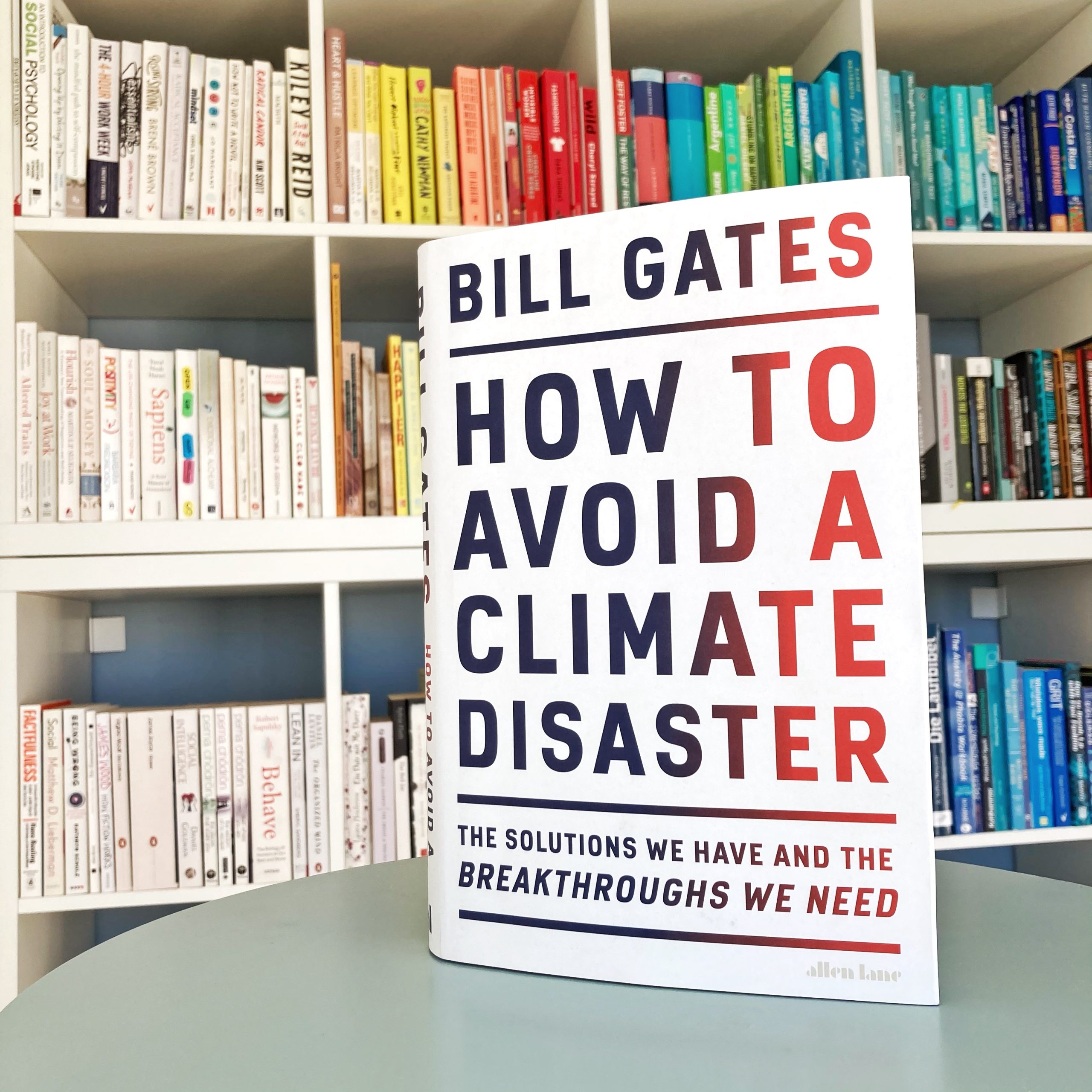 cover of 'how to avoid a climate disaster'