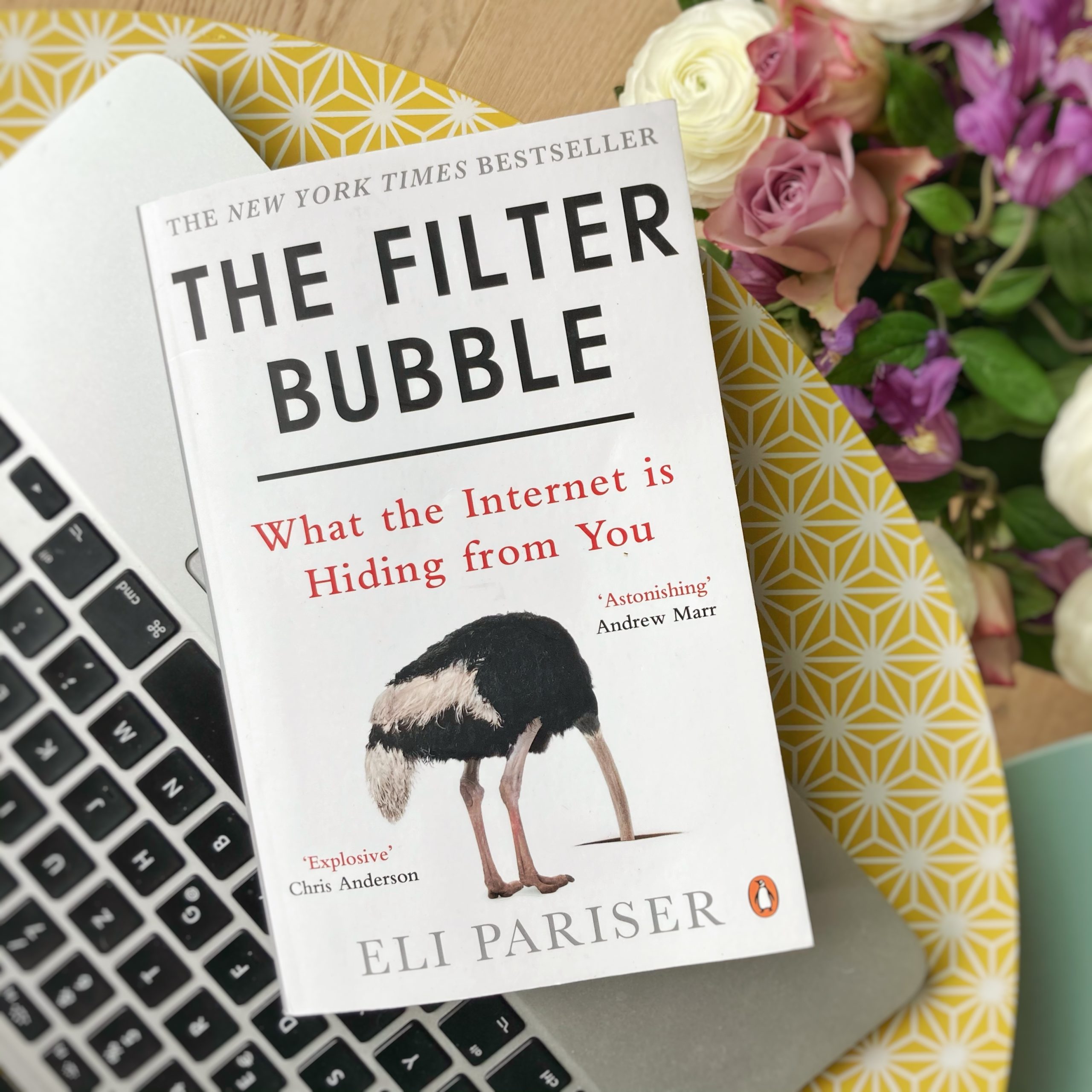 cover of 'the filter bubble'