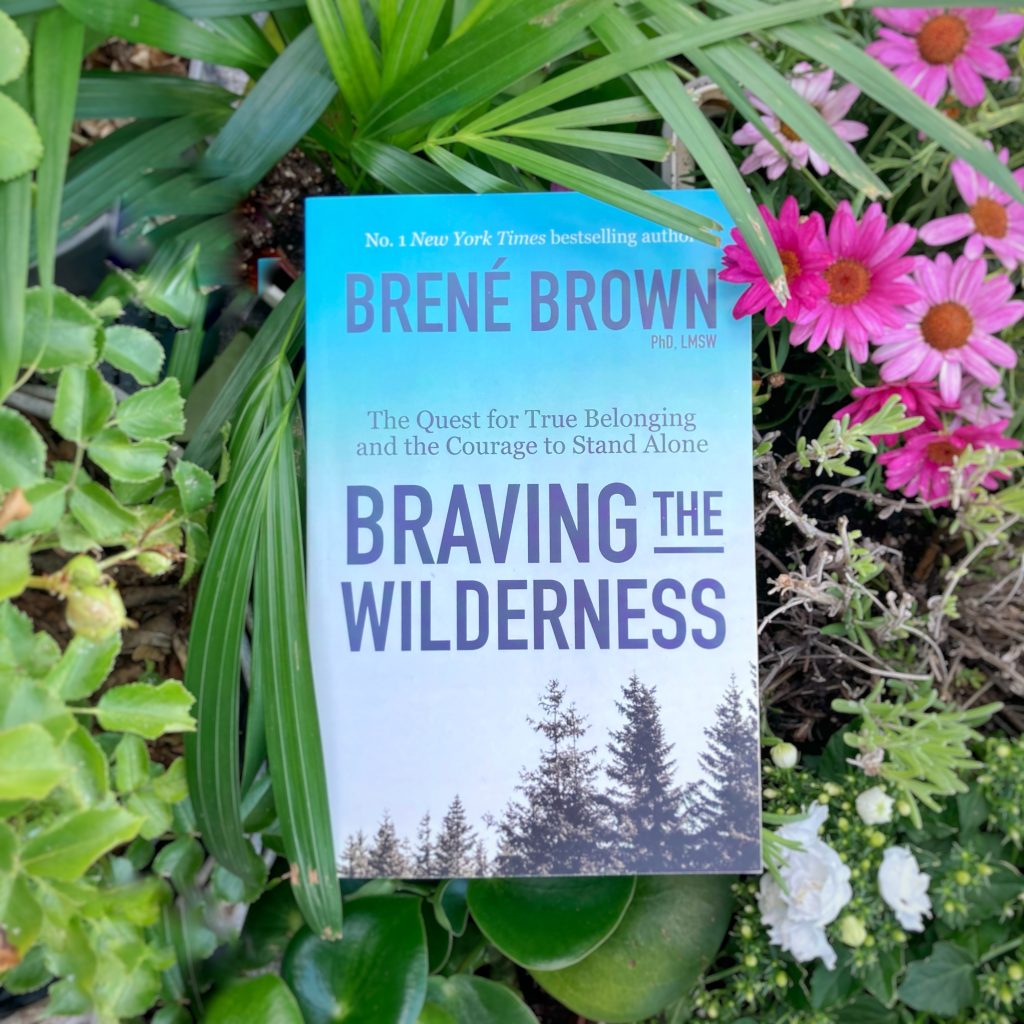 cover of 'braving the wilderness'