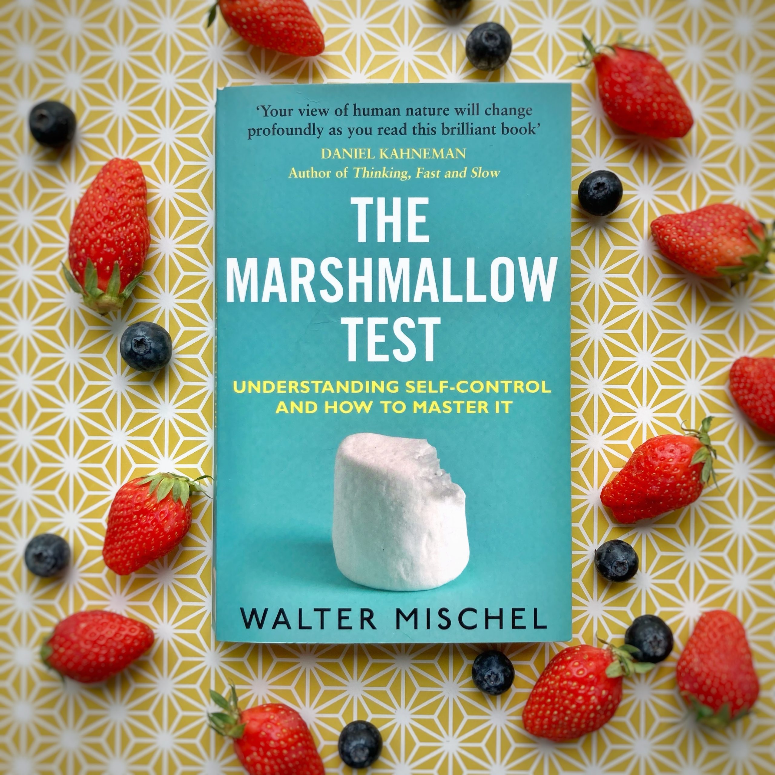 cover of 'the marshmallow test'